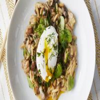 Orzo Risotto with Wild Mushrooms_image