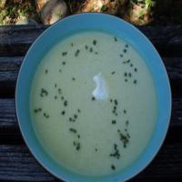 Curried Cauliflower Soup image