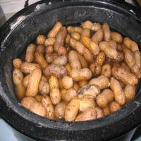 Crock Pot Boiled Peanuts_image