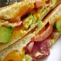 Grilled Cheddar, Bacon, and Avocado Sandwiches_image