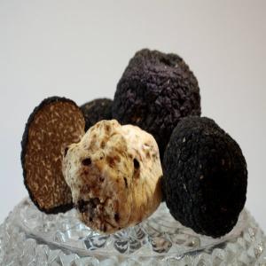 Crostini With Porcini Butter and Summer Truffles_image