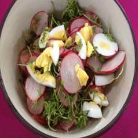 Spring Radish Salad with Egg and Garden Cress image