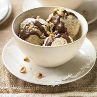 Hazelnut gelato with rich chocolate sauce image