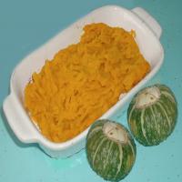 Squashed Squash ( Hubbard or Butternut )_image
