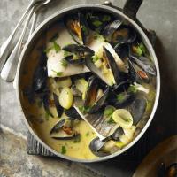 Normandy fish stew image