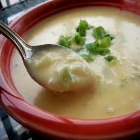 Tavern Cheese Soup image