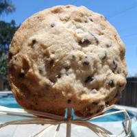 Chocolate Chip Monster Pops_image
