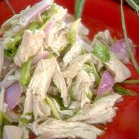 Chicken Salad with Fennel Spice_image