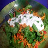 Clemson Blue Cheese Salad Dressing_image