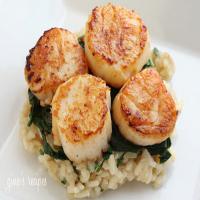 Seared Scallops over Wilted Spinach and Parmesan Risotto Recipe - (4.3/5)_image