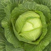 HCG Diet (P2/3) Cabbage Soup Recipe - (4.2/5) image