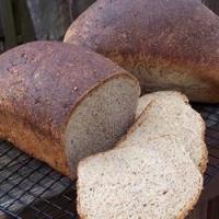 Westrup Whole Wheat Bread image