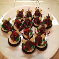 Chocolate Christmas Mice Cookies image