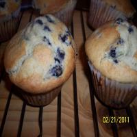 Jumbo Large Top Chocolate Chip (Or Blueberry) Muffins image