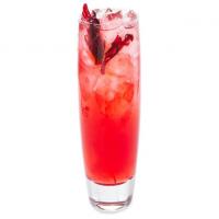 Hibiscus Gin-and-Tonic image