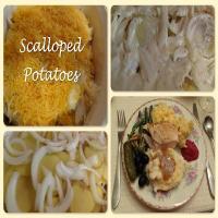 Scalloped Potatoes_image