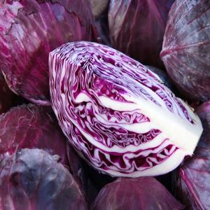 Nanny's Holiday Purple Cabbage_image