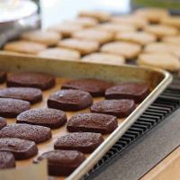 Chocolate Shortbread Cookies image