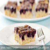 Blueberry Crunch Coffee Cake_image
