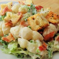 Macaroni Caesar Salad_image