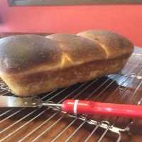 Soft Crust Sourdough Bread_image