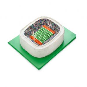 Stadium Cake_image