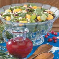 Salad with Cran-Raspberry Dressing_image