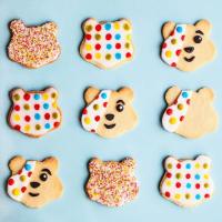 Pudsey biscuits image