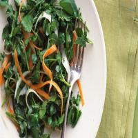 Watercress Salad with Carrots and Jicama image
