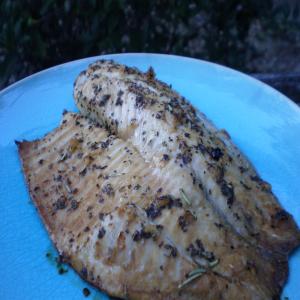 Marmie's Marinade for Fish_image