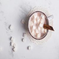 Malted Hot Cocoa Mix_image