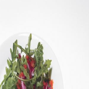 Radicchio and Arugula Salad with Roasted Pepper Dressing and Burrata Crostini_image