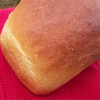 Belgian Molasses Bread_image