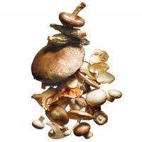 Mushroom Stir-Fry image