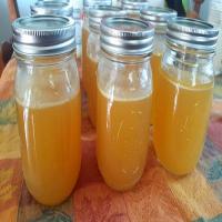 Turkey Bone Broth in the Instant Pot + Canning image