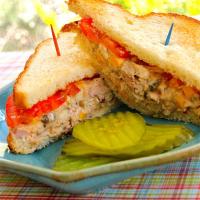 Spicy Tuna Fish Sandwich_image