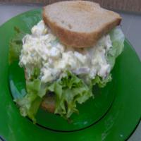 Warm Egg Salad on Whole Wheat Toast_image