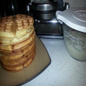 Gamma's Sweet Sourdough Pancakes/Waffles_image