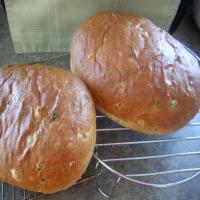 Olive Bread for the Bread Machine_image