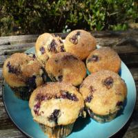 Fresh Blueberry Sour Cream Muffins image