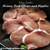 Slow Cooker Honey Pork Chops and Apples Recipe - (3.8/5)_image
