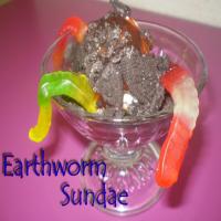 Earthworm Sundae_image