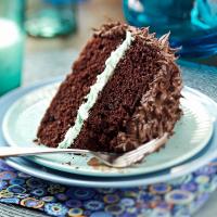 Makeover Chocolate Mint Layer Cake_image