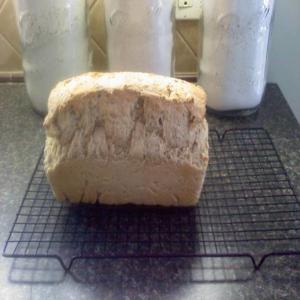 Einkorn & Spelt Flour Bread_image