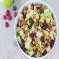 Belgian Endive and Apple Salad With Cranberry Vinaigrette image