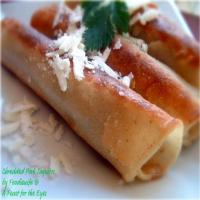 Shredded Pork Taquitos Recipe - (4.5/5)_image