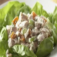 Turkey Apricot Salad Sandwiches Recipe - (4.5/5)_image