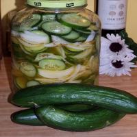 Shaker Pickles image