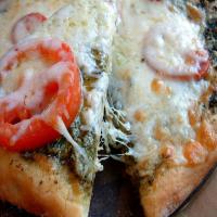 The Ultimate Pizza Dough, from King Arthur Flour Recipe - (4/5)_image