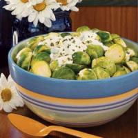 Sprouts with Sour Cream_image